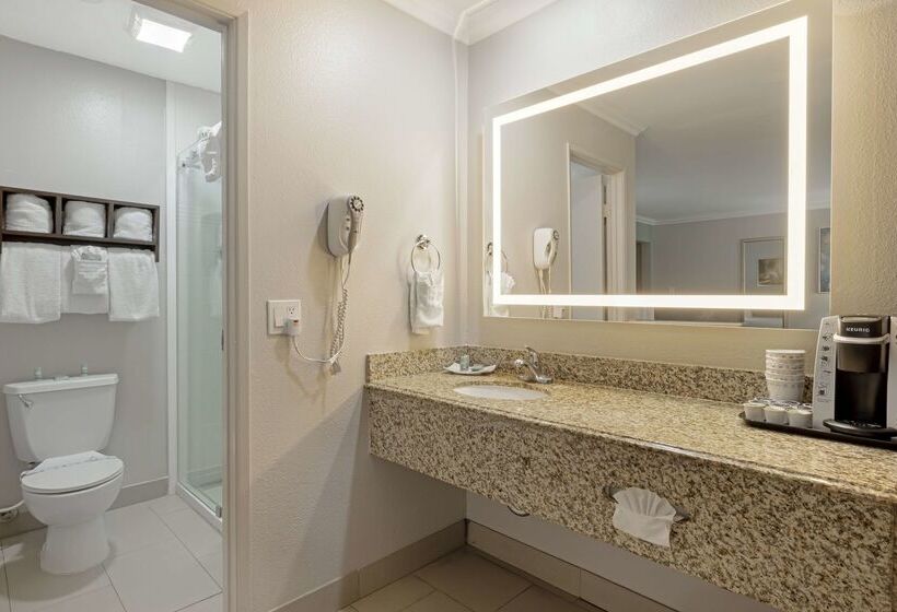 Best Western Courtesy Inn Hotel   Anaheim Resort At The Park