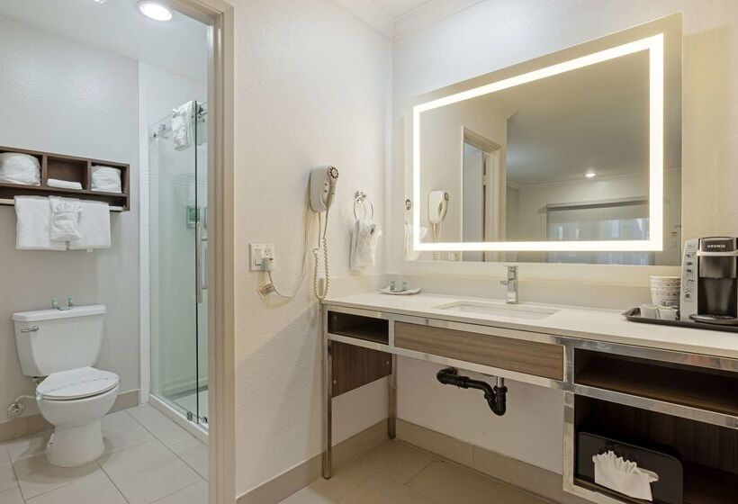 Best Western Courtesy Inn Hotel   Anaheim Resort At The Park