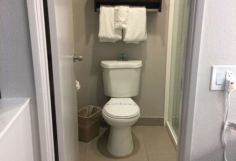 Best Western Courtesy Inn Hotel   Anaheim Resort At The Park