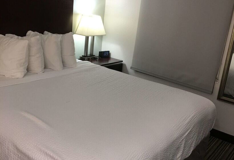 Best Western Courtesy Inn Hotel   Anaheim Resort At The Park