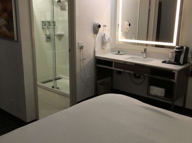 Best Western Courtesy Inn Hotel   Anaheim Resort At The Park