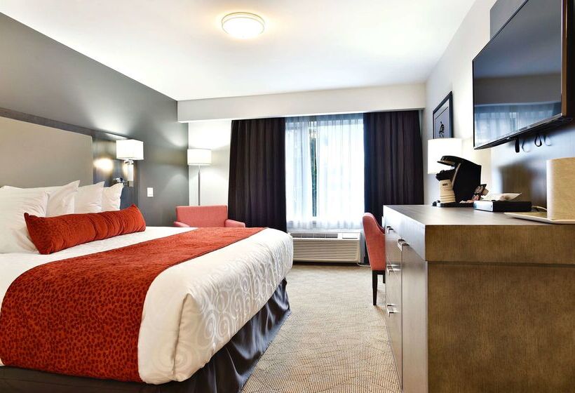 فندق Best Western Cowichan Valley Inn