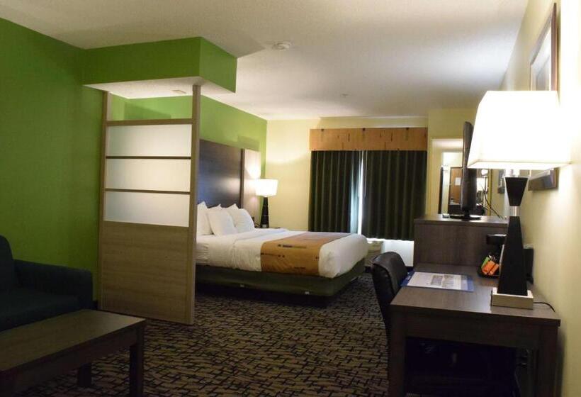 فندق Best Western Crown Inn & Suites   Batavia