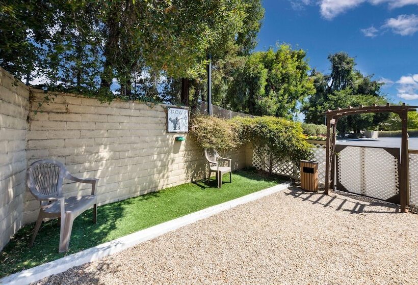 호텔 Best Western Danville Sycamore Inn