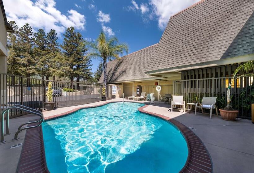 호텔 Best Western Danville Sycamore Inn