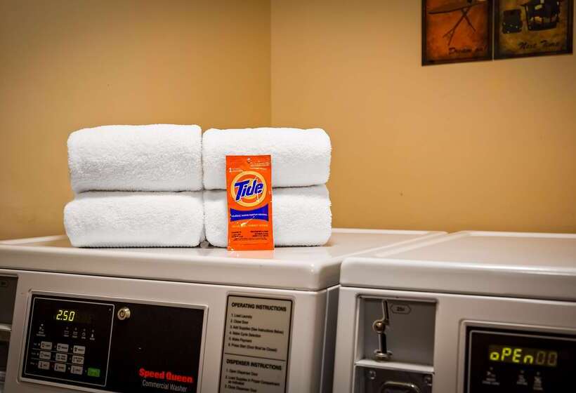 فندق Best Western Dayton