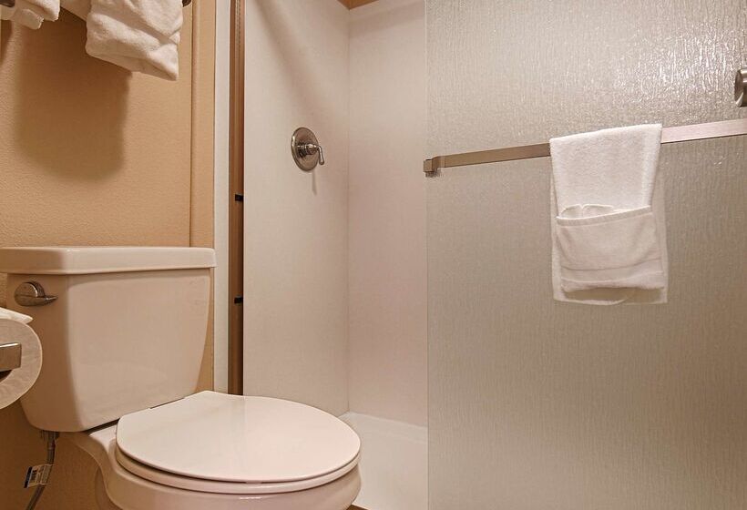 ホテル Best Western Denver Southwest