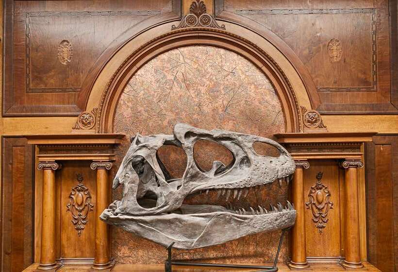 فندق Best Western Denver Southwest