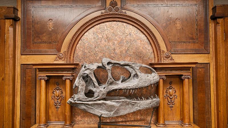 فندق Best Western Denver Southwest