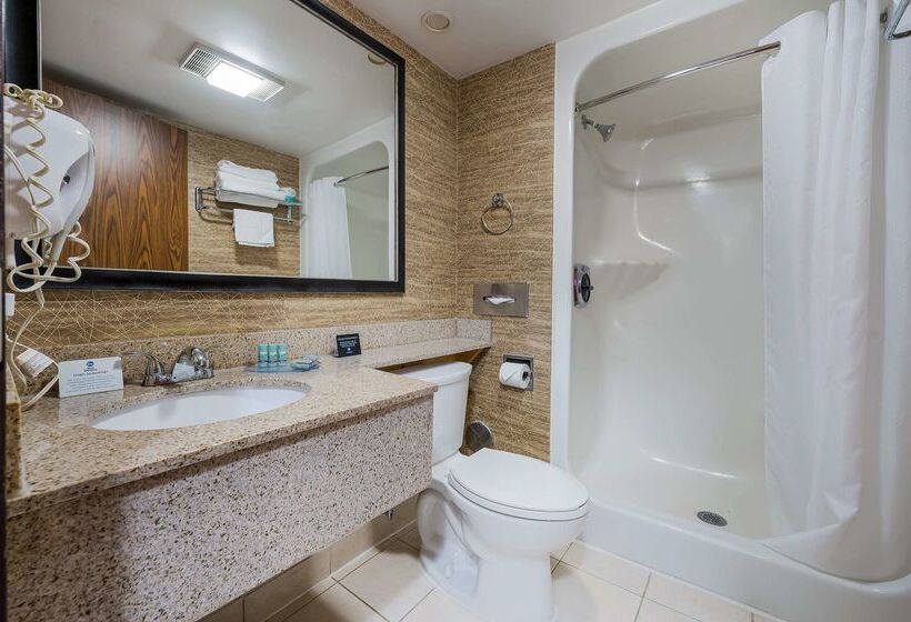 호텔 Best Western Detroit Livonia