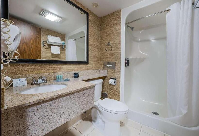 호텔 Best Western Detroit Livonia