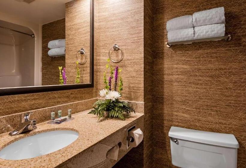 호텔 Best Western Detroit Livonia