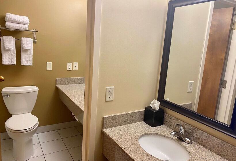 فندق Best Western Falcon Plaza   Bowling Green