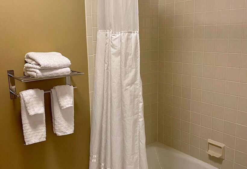 فندق Best Western Falcon Plaza   Bowling Green