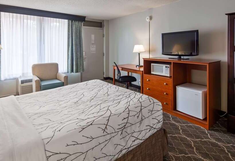 酒店 Best Western Fredericksburg