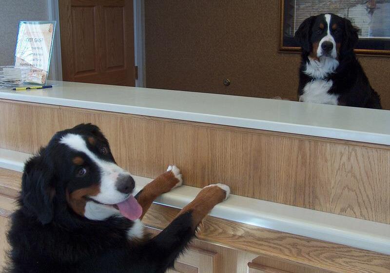 酒店 Best Western Fredericksburg