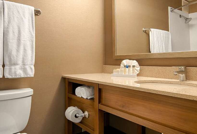 هتل Best Western Grant Park