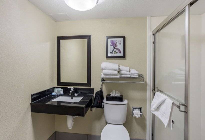 酒店 Best Western Harrisburg North