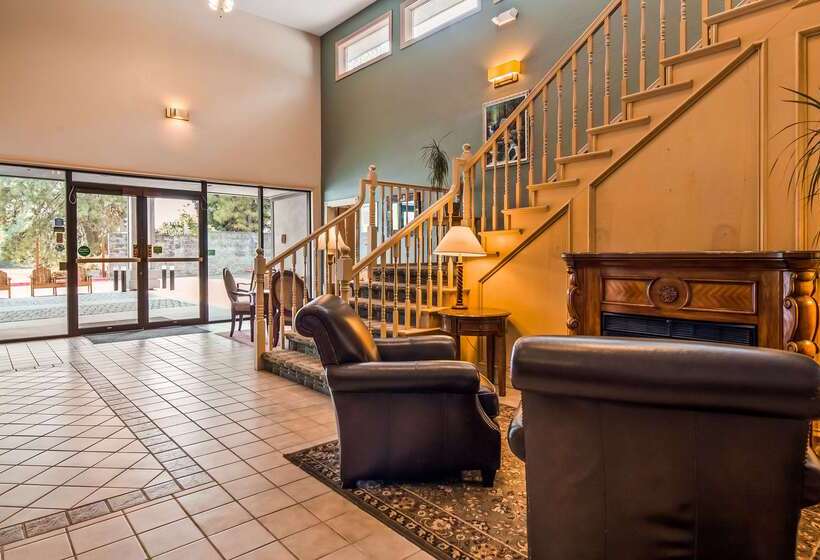 فندق Best Western Inn At The Rogue