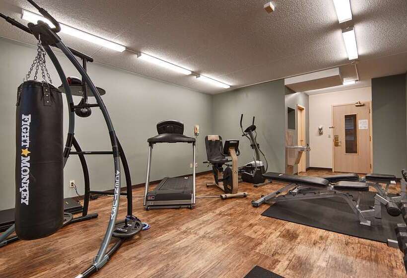 酒店 Best Western Little River Inn