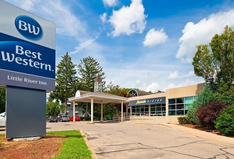فندق Best Western Little River Inn
