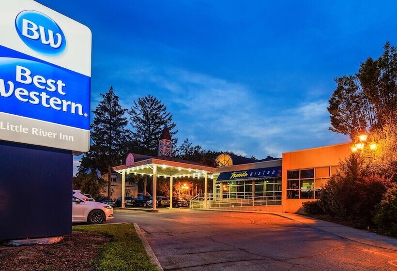 فندق Best Western Little River Inn