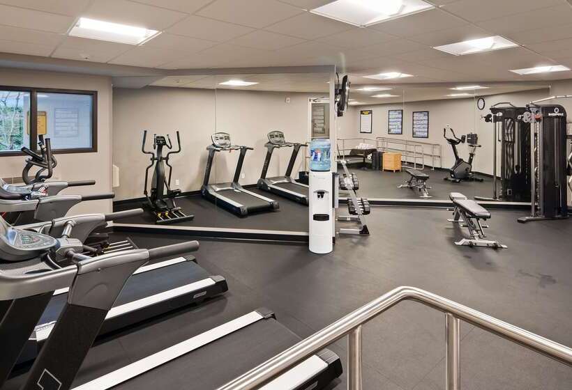 Отель Best Western Northgate