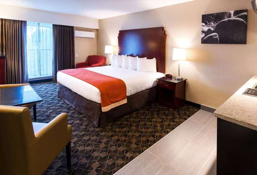 فندق Best Western Northgate