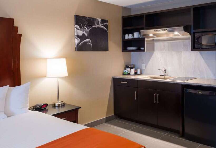 Отель Best Western Northgate