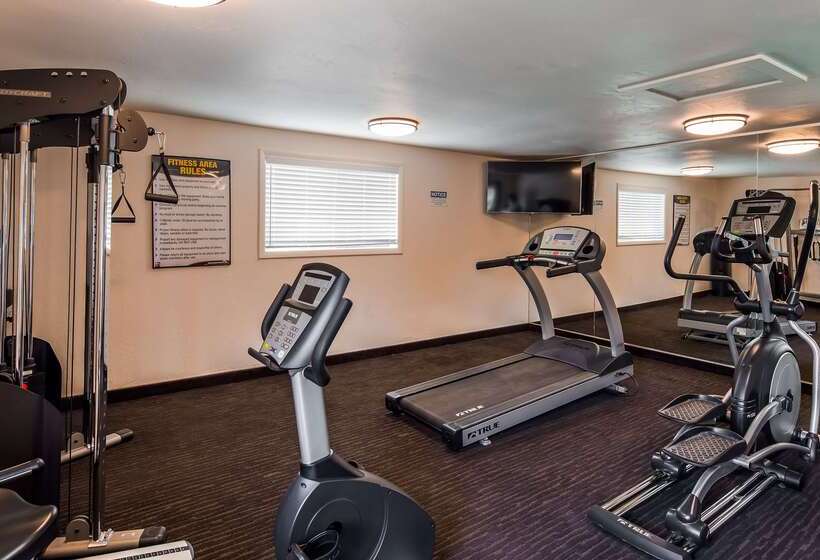 בית מלון כפרי Best Western Paradise Inn