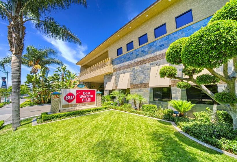 فندق Best Western Plus Anaheim Inn