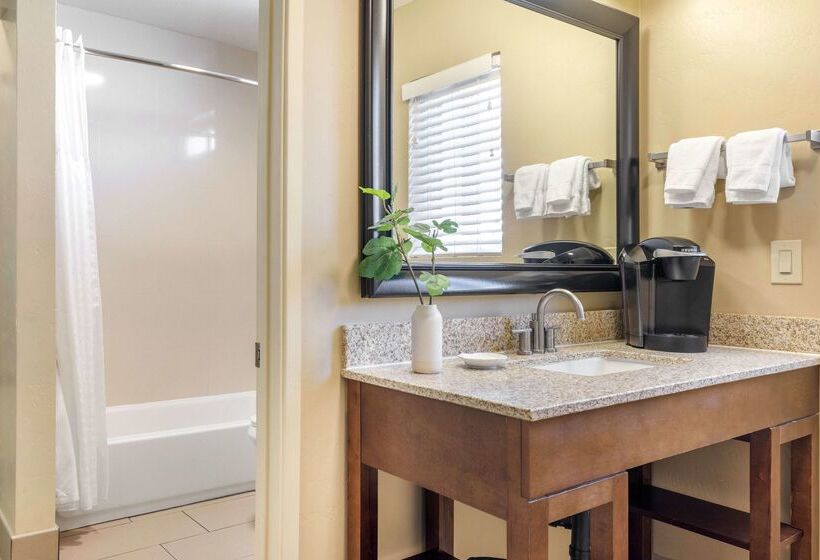 فندق Best Western Plus Beach View Lodge Carlsbad