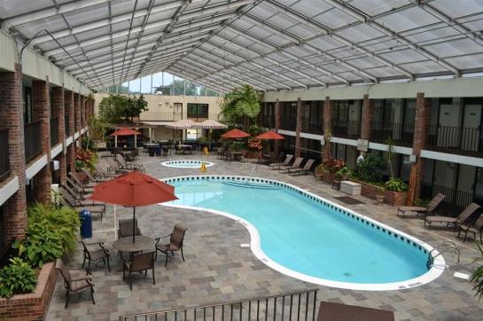 ホテル Best Western Plus Motor Inn