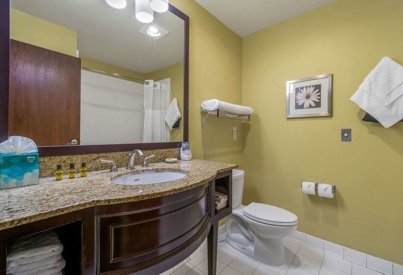 酒店 Best Western Plus Plaza By The Green