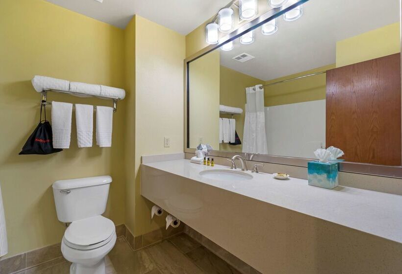 酒店 Best Western Plus Plaza By The Green