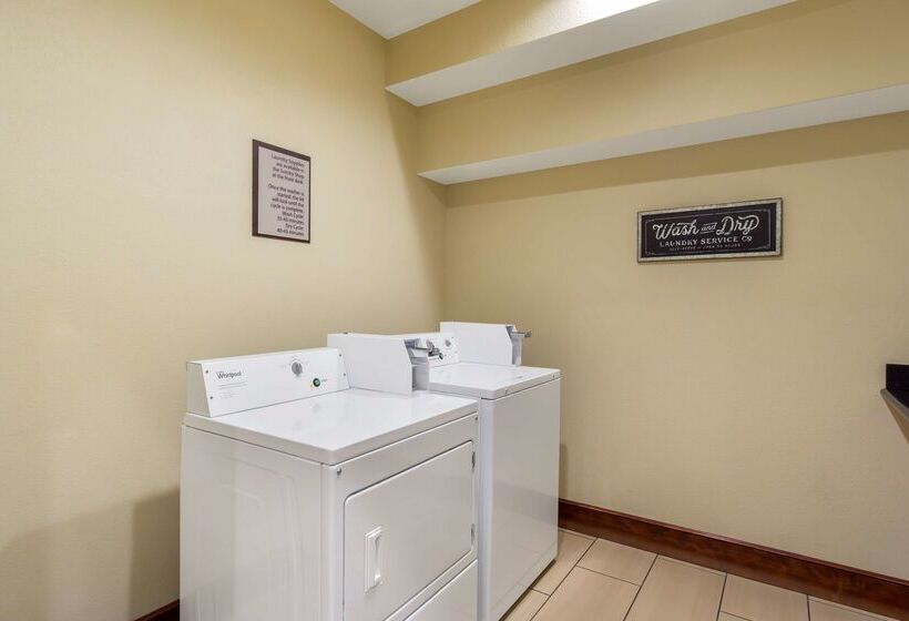 酒店 Best Western Plus Plaza By The Green