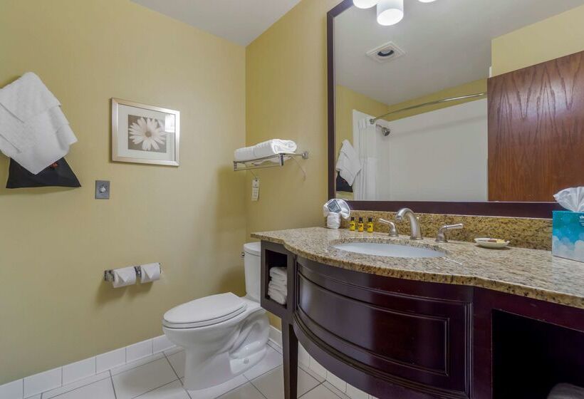 酒店 Best Western Plus Plaza By The Green