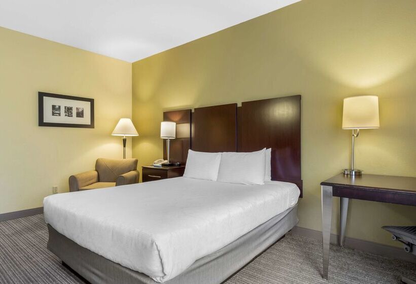 酒店 Best Western Plus Plaza By The Green