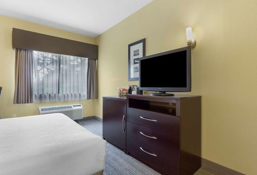 酒店 Best Western Plus Plaza By The Green