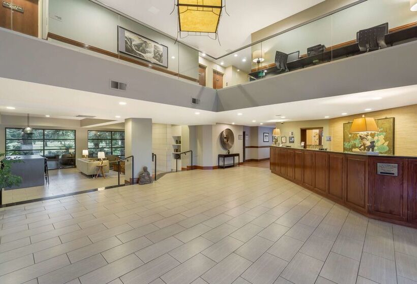 酒店 Best Western Plus Plaza By The Green