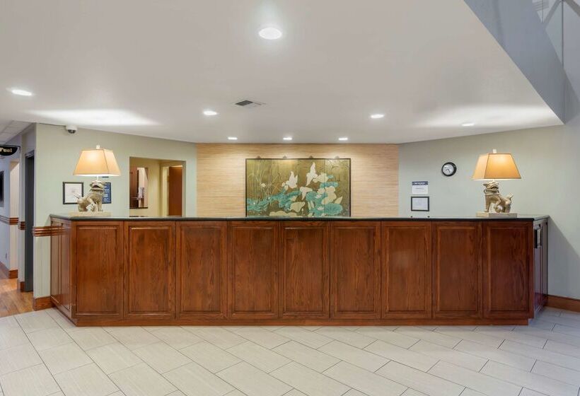 酒店 Best Western Plus Plaza By The Green