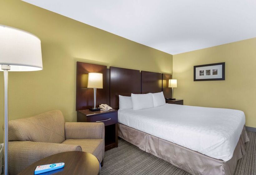 酒店 Best Western Plus Plaza By The Green