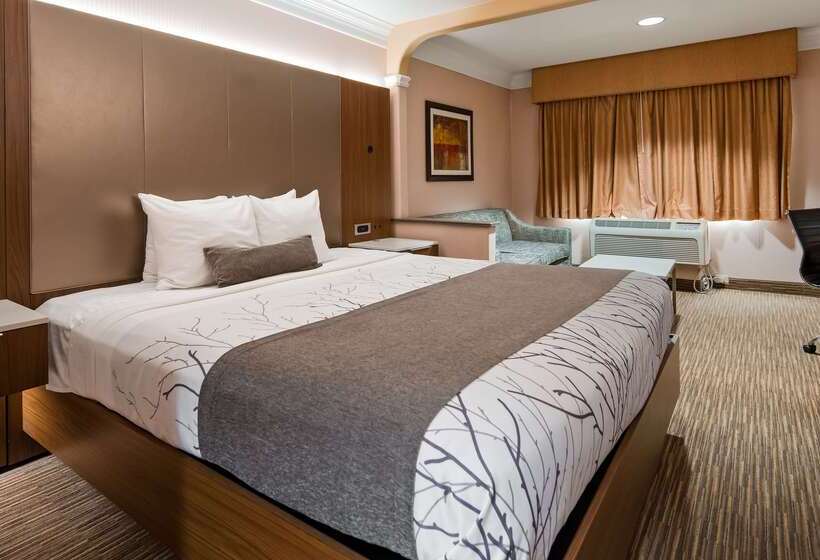 Best Western Plus Suites Hotel   Los Angeles Lax Airport