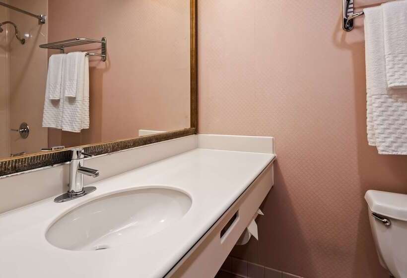 Best Western Plus Suites Hotel   Los Angeles Lax Airport