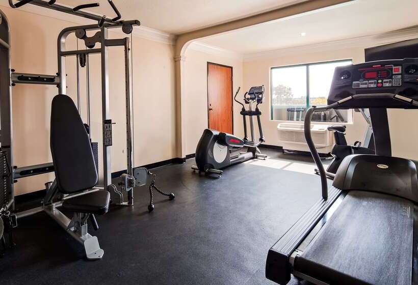 Best Western Plus Suites Hotel   Los Angeles Lax Airport