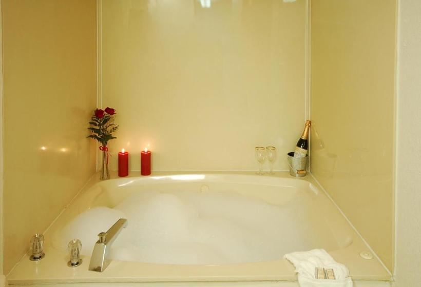 酒店 Zainee Inc Budgetel Inn And Suites