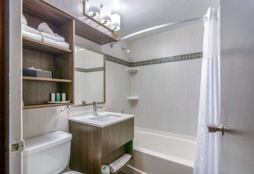 فندق Clarion