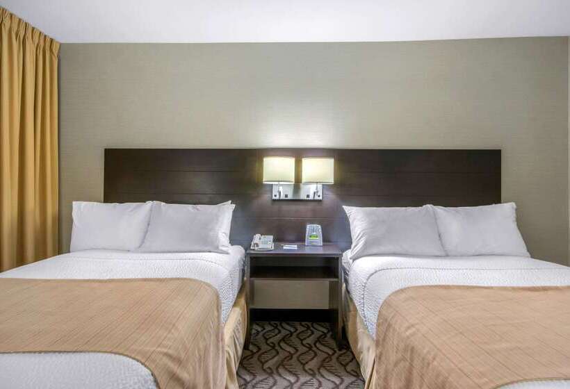 فندق Clarion