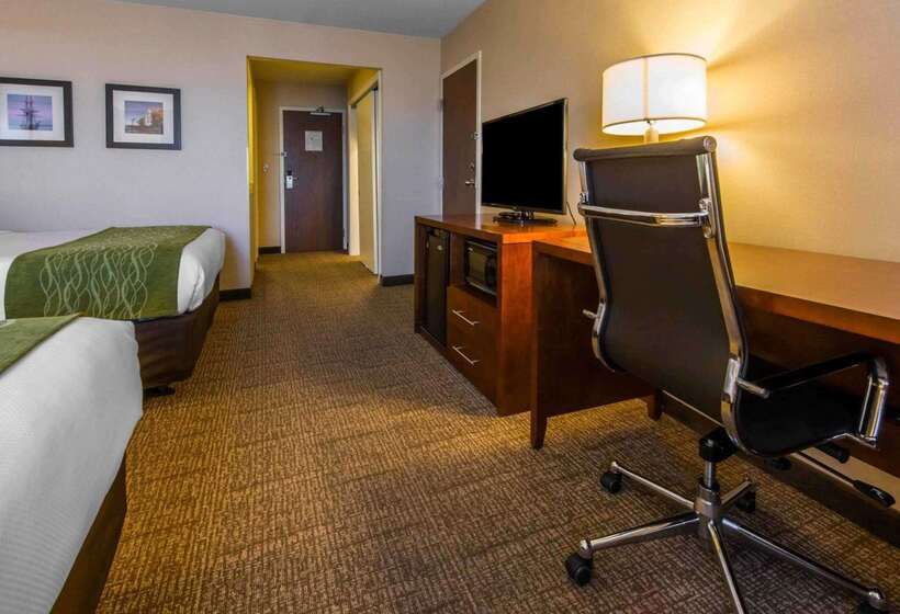 فندق Comfort Inn & Suites