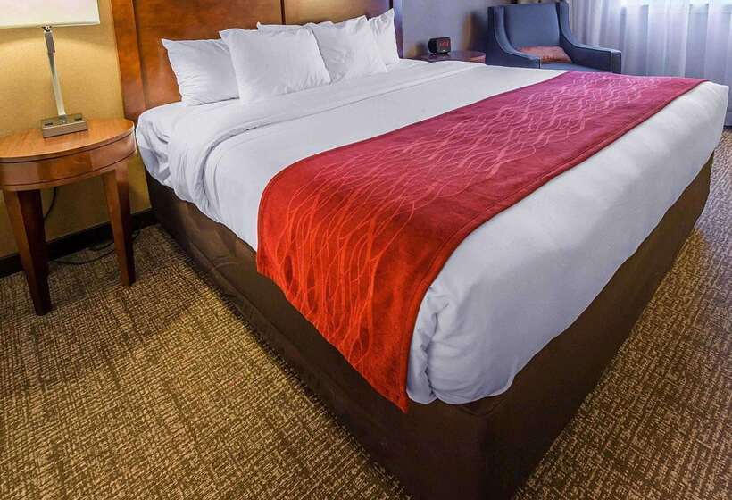 فندق Comfort Inn & Suites